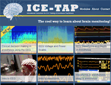 Tablet Screenshot of icetap.org